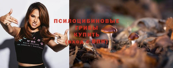 apvp Нефтегорск