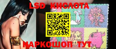 гашик Берёзовский