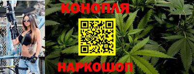 гашик Берёзовский