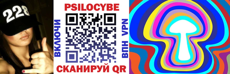 shop наркотические препараты  Тында  Галлюциногенные грибы Psilocybine cubensis  что такое наркотик 