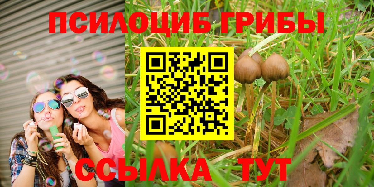 Галлюциногенные грибы прущие грибы  Тында 