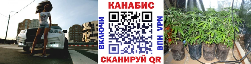 Бошки марихуана Amnesia Тында
